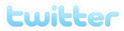 Logo Twitterweblogo in Medienjahr 2009: An Twitter führt kein Weg vorbei